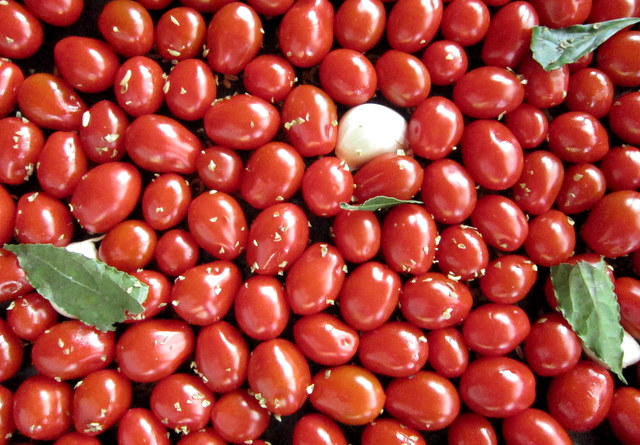 pomodori_datterini_crudi_conditi_con_alloro_eglio_e_spezie