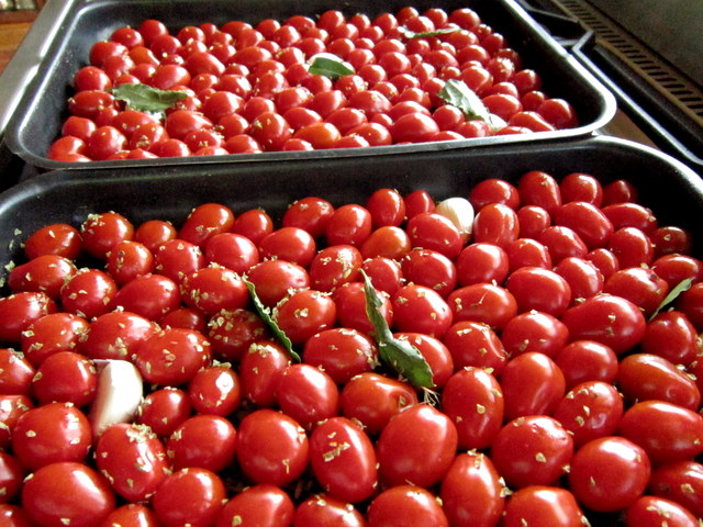 _disposti_nelle_teglie